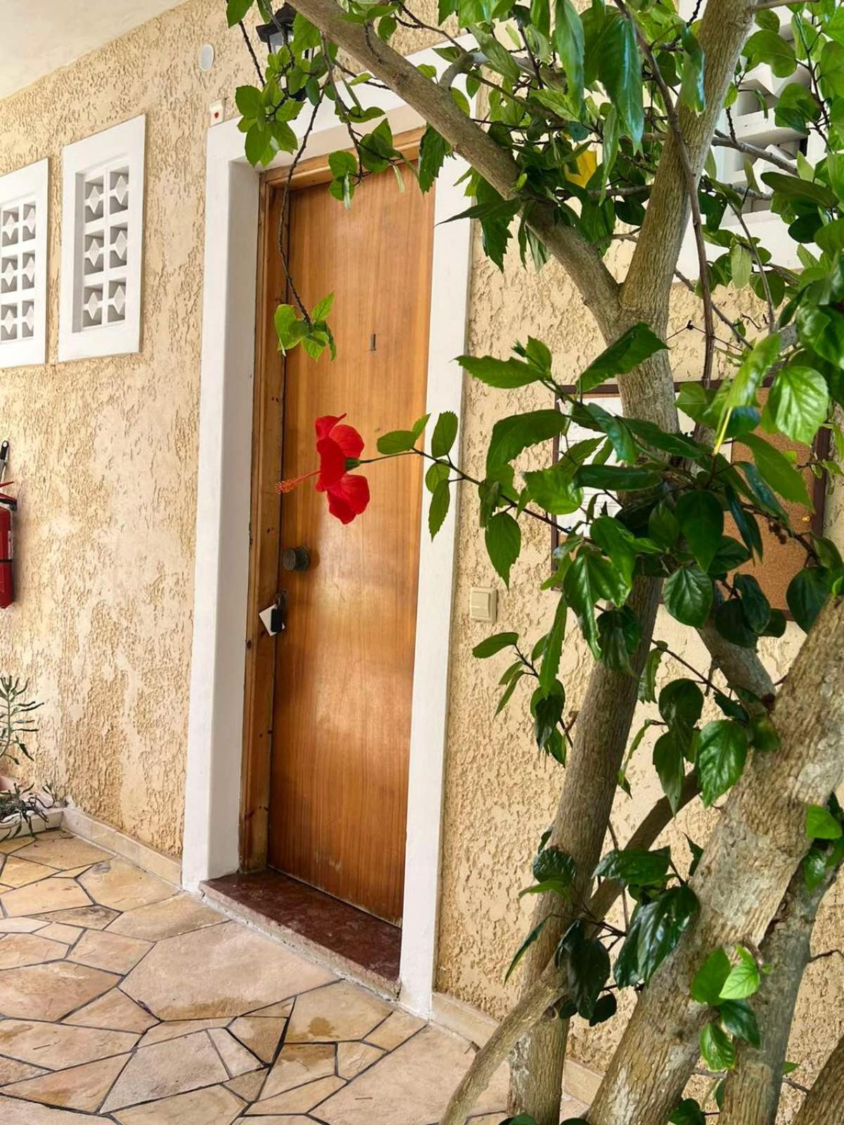 Vasiliki Apartments Lakka  Bagian luar foto